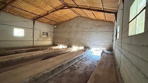 Photo 3 of Industrial buildings for rent in Escalona del Prado, Segovia