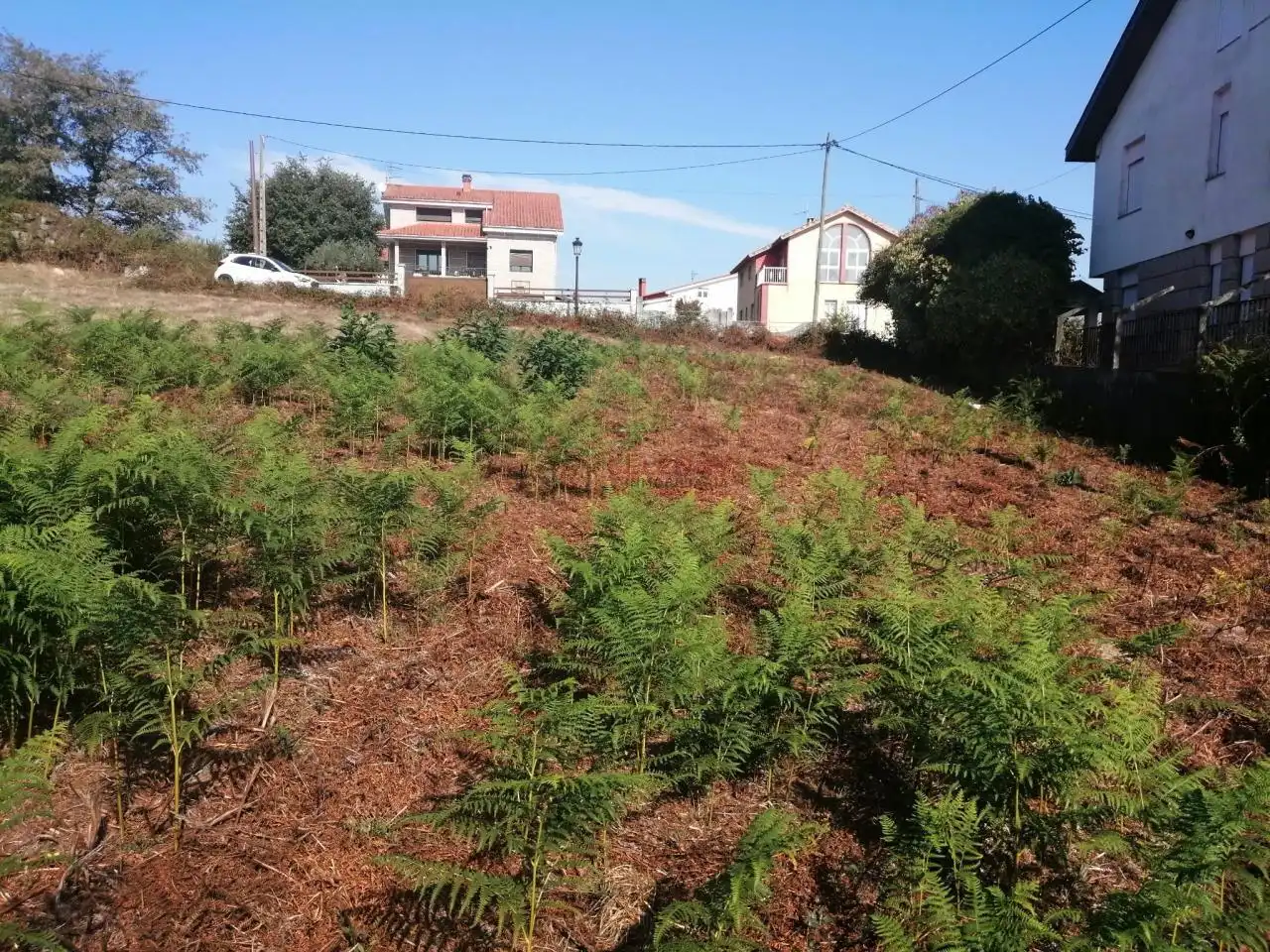 Residencial en venta en O Pereiro de Aguiar 