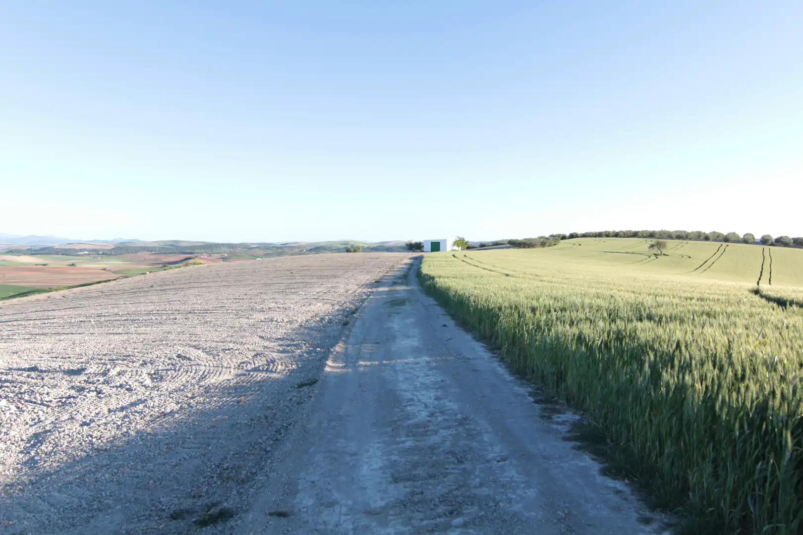 Terreno en venta en Utrera