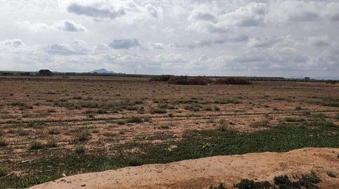 Foto 2 de Finca rústica en venta en Los Martinez del Puerto, Murcia Capital