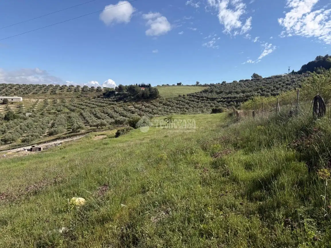 Terreni e lotti in vendita a Martos, imagen 4