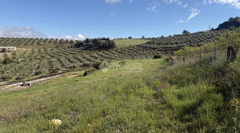 Terrenos en venta en Martos, immagine 4