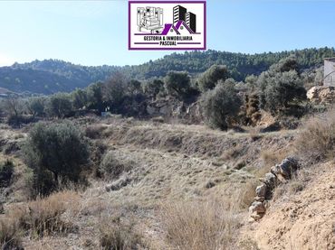 Terreny rústic en venda a Camino Polígono 763 Parcela 6204 VUEL MAJ. ALCAÑIZ (TER
