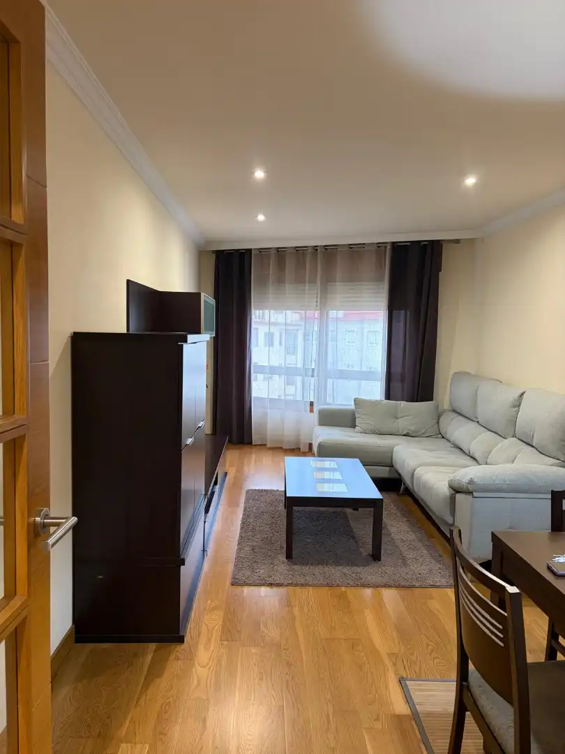 Living room of Flat for rent in A Parda