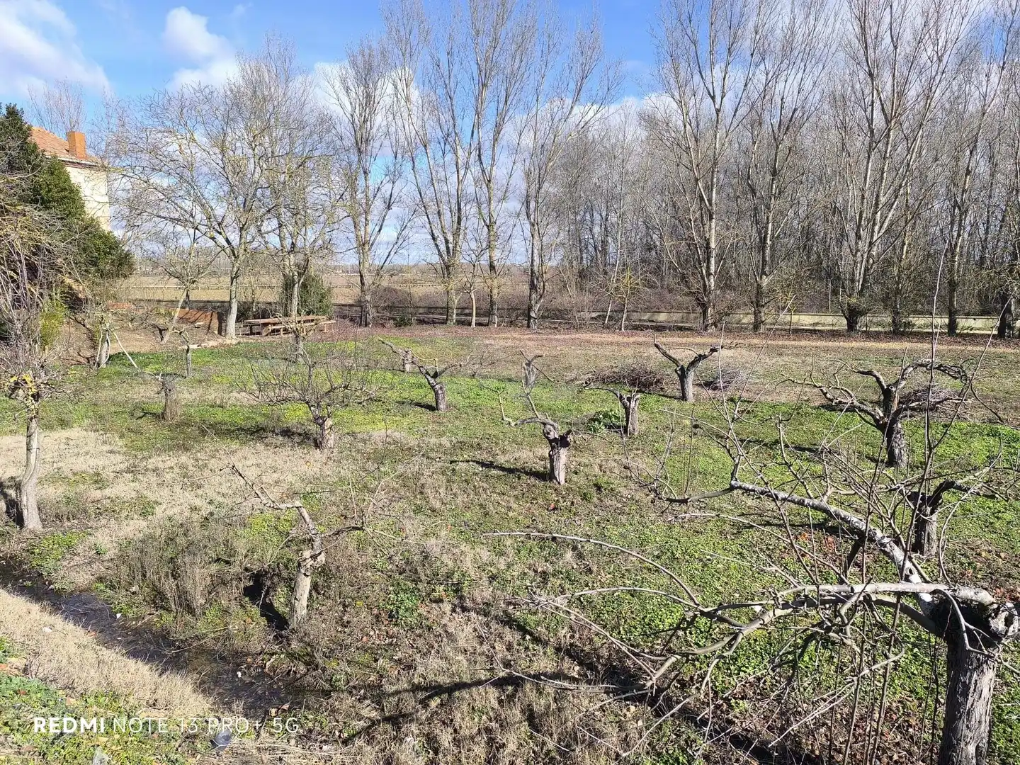 Residencial en venta en San Millán de los Caballeros