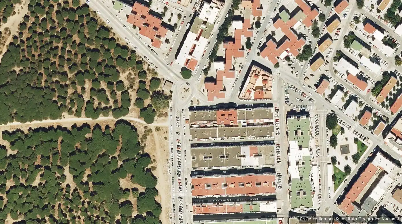 Local comercial en venta en Barbate ciudad, imagen 5