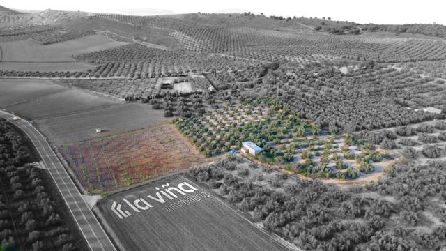 Terreno en Venta en Valle de Abdalajís