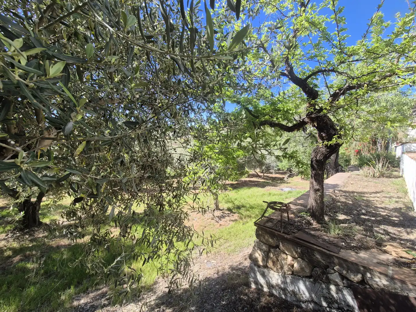 Jardí de Finca rústica en venda en Monda amb Calefacció, Jardí privat i Terrassa