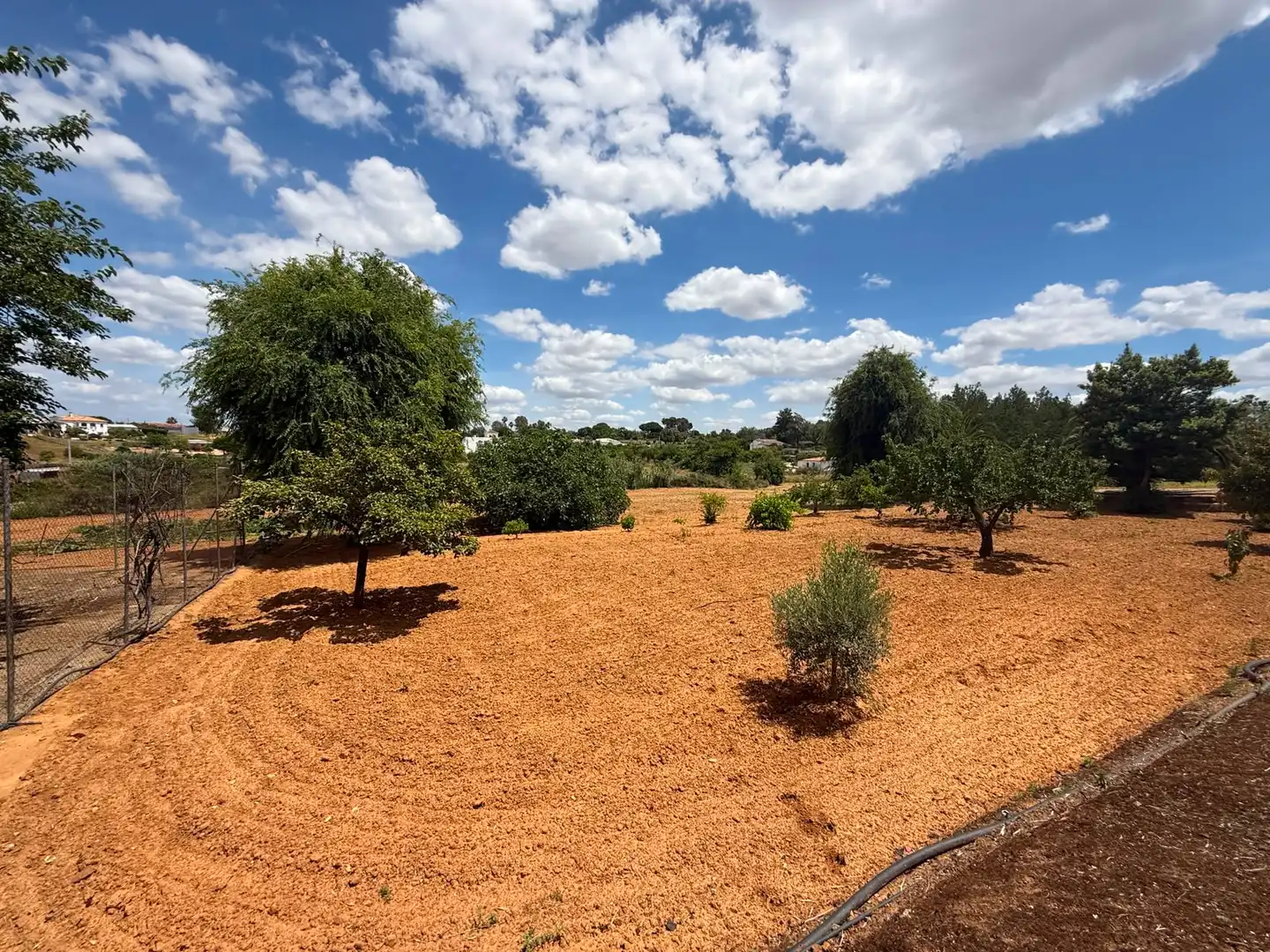 Chalet con piscina en venta en Carretera Olivares, imagen 58