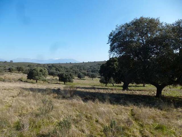 Terreno en Venta en Arenas de San Pedro