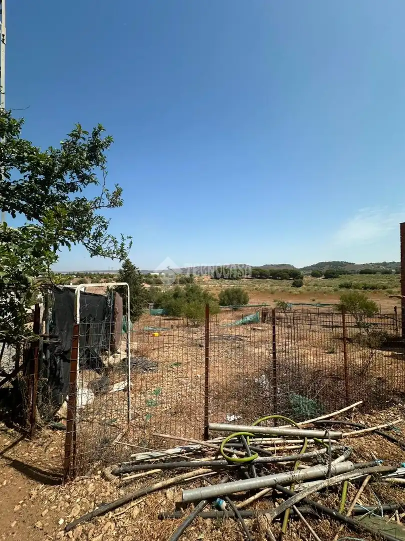 Casa rústica en venda a Arcos de la Frontera, imagen 17