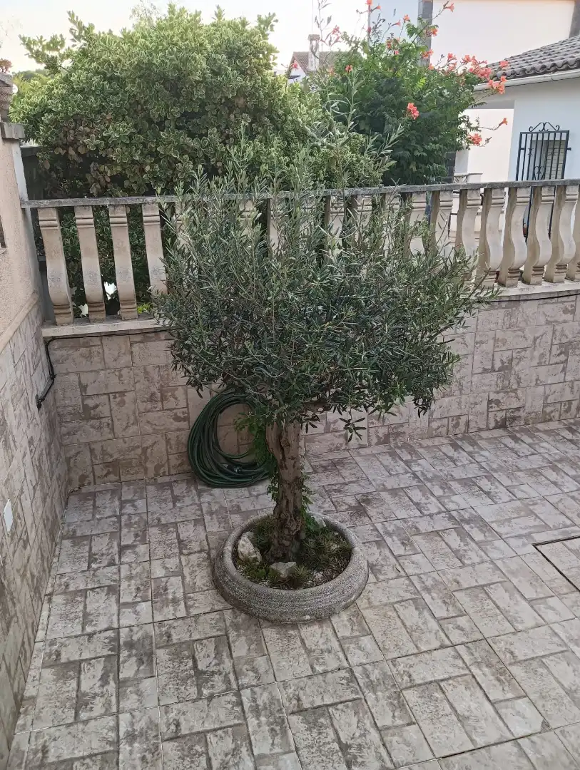 Jardín de Casa adosada en venta en Vilanova i la Geltrú con Aire acondicionado, Calefacción y Jardín privado