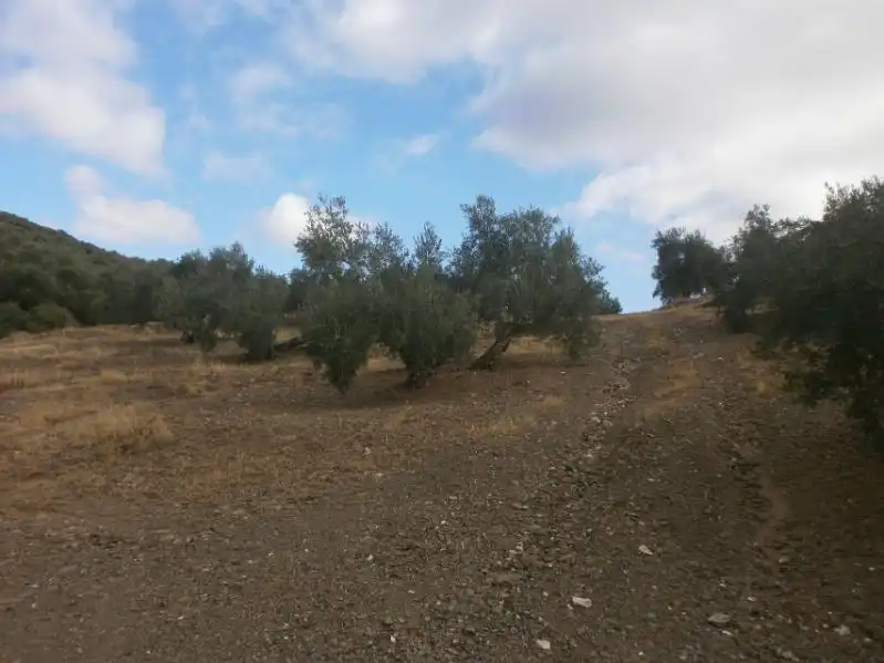 Terreni e lotti in vendita a Navas de San Juan, imagen 2