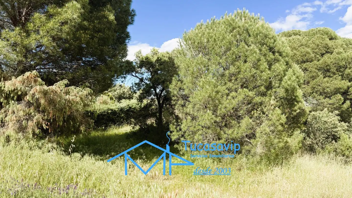 Terreni e lotti in vendita a El Tiemblo, imagen 26