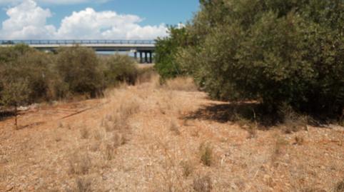 Photo 4 of Residential for sale in N/a, Las Atalayas - Urmi - Cerro de Mar, Peñíscola / Peníscola