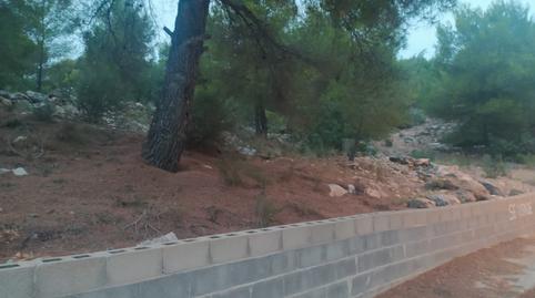 Photo 5 of Land for sale in El Castell, Burjassot