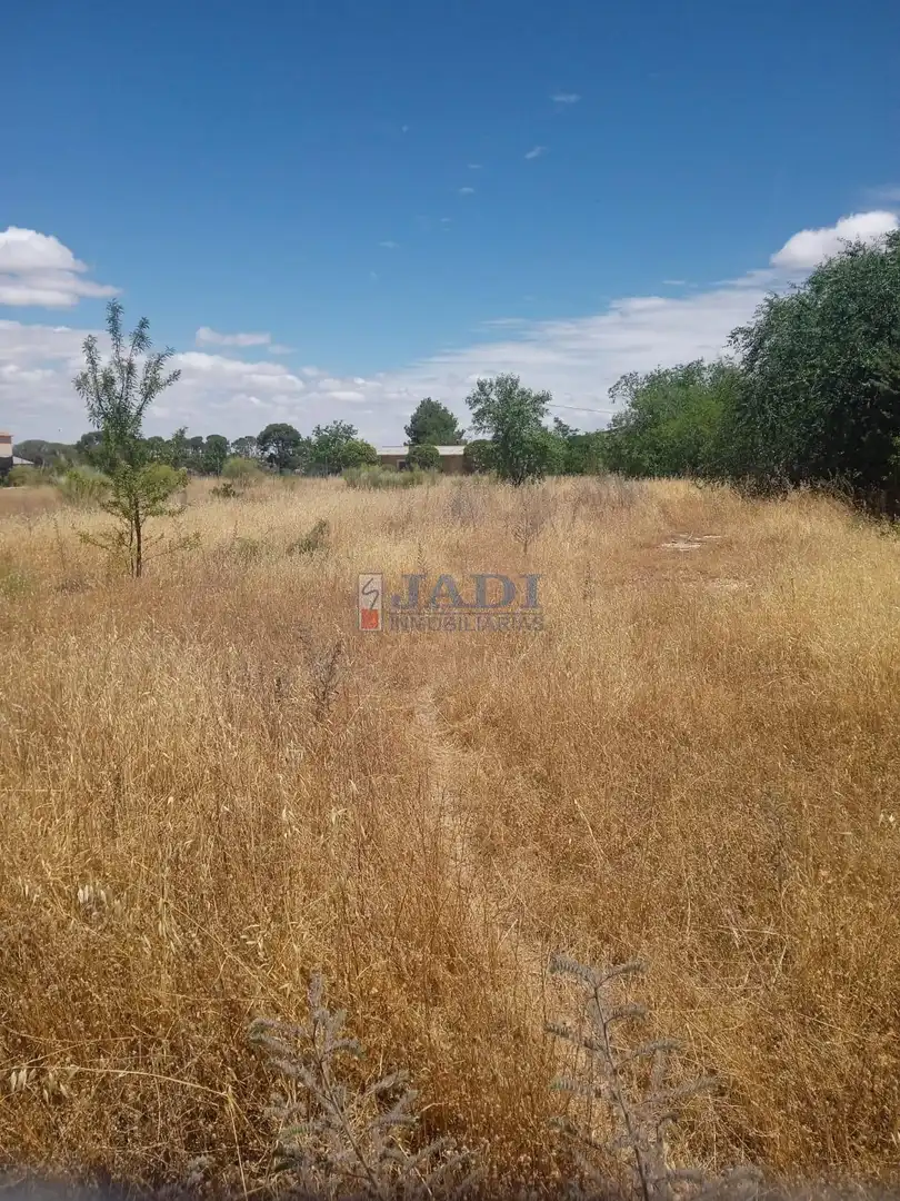 Casa rústica en venda a Valdepeñas