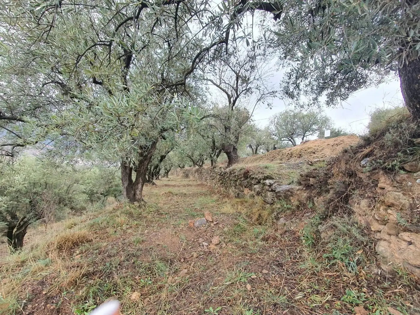 Casa rústica en venda a Fondón, imagen 7