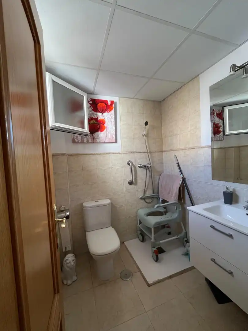 Villa mit Pool zum Verkauf in Calle MIGUEL DE MOLINA, imagen 17