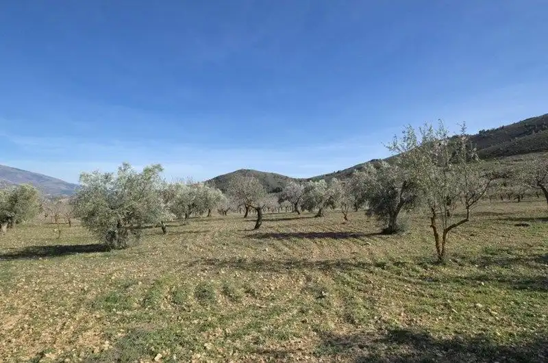 Terreno rustico in vendita a El Valle, imagen 27