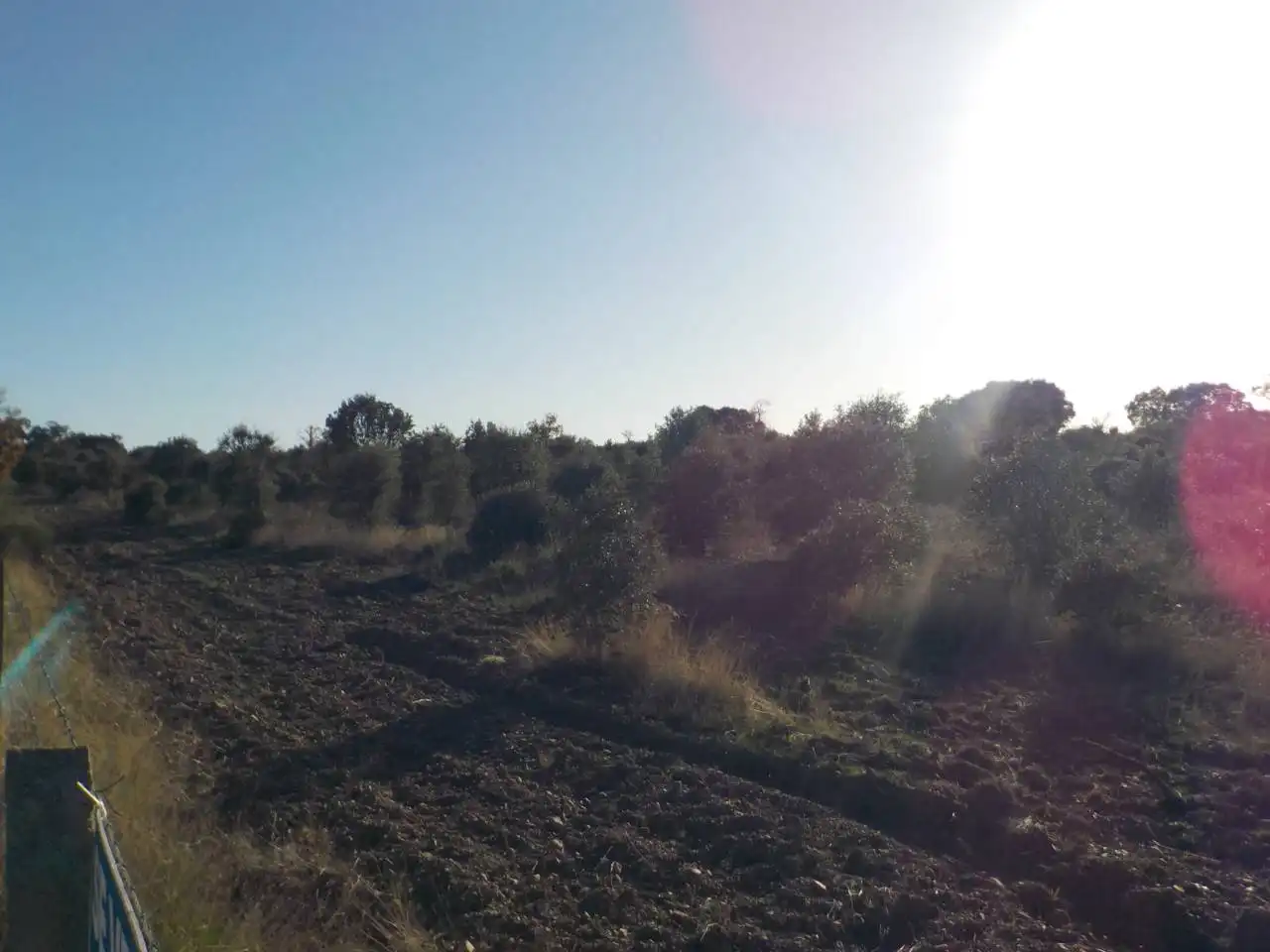 Terreny rústic en venda a Serradilla del Arroyo, imagen 5