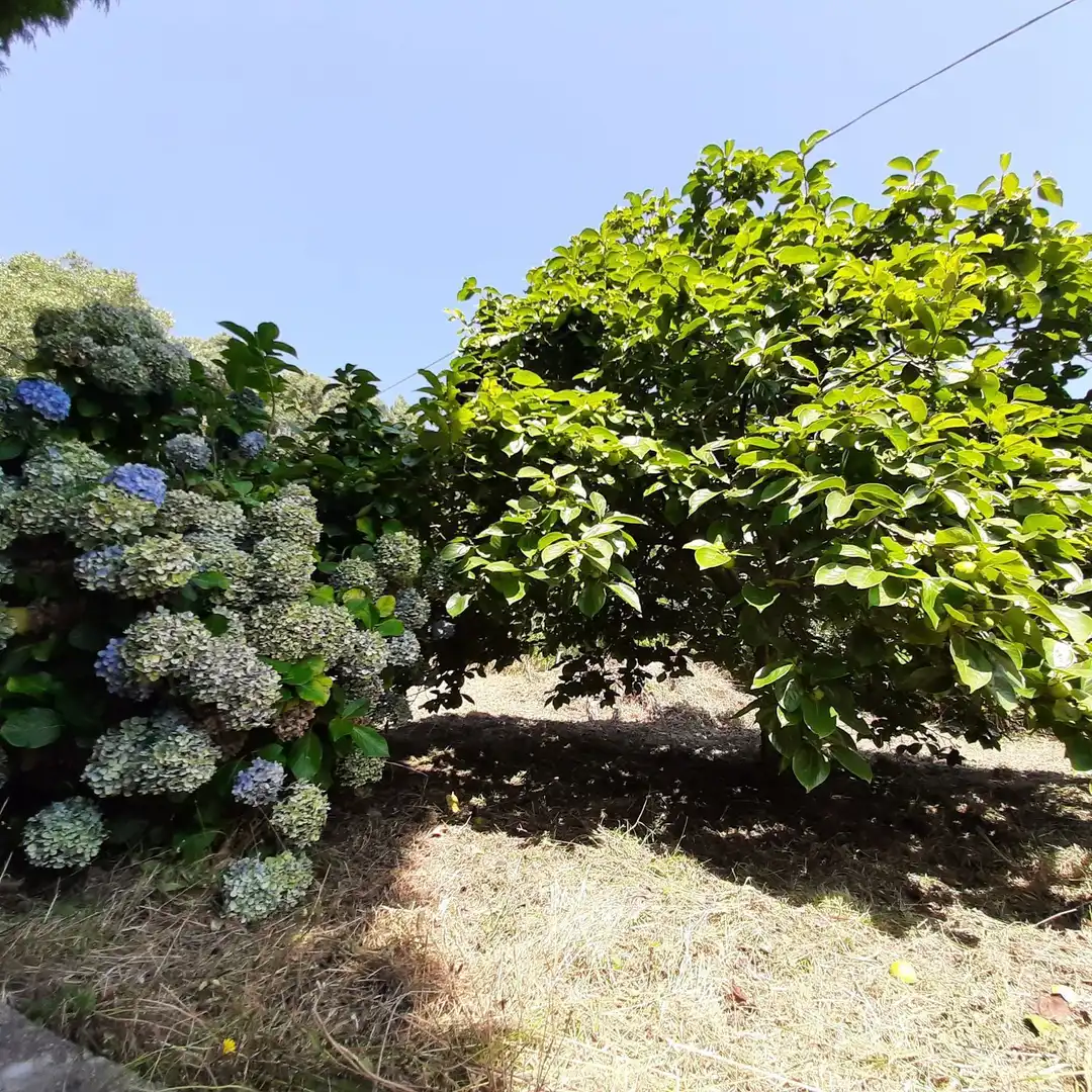 Casa rústica amb jardí en venda a CM TEIXEIRO-PARDIÑEIRAS 5, imagen 4