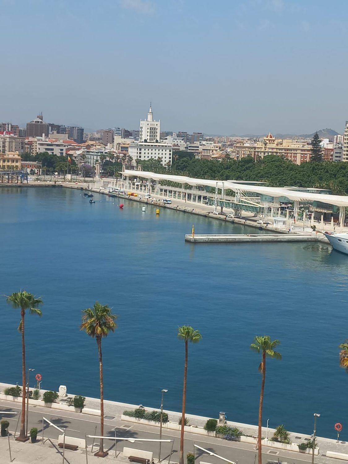Exterior view of Flat for sale in Málaga Capital  with Terrace