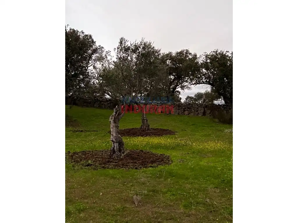 Finca rústica en venta en Valdehúncar