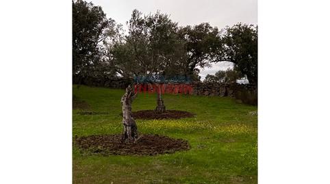 Foto 2 de Finca rústica en venta en Calle Roque, Valdehúncar, Cáceres