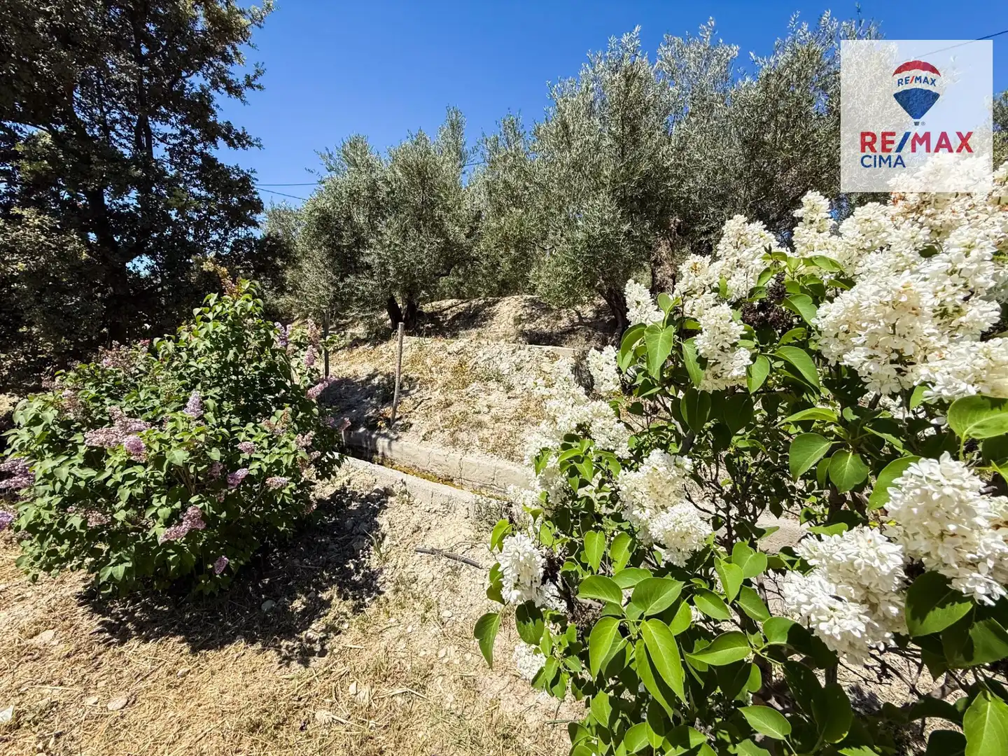 Terreno en venta en Castilléjar
