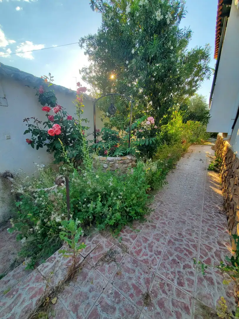 Jardín de Casa o chalet en venta en Malagón con Terraza