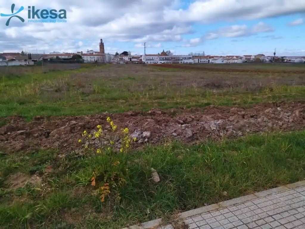 Terreni e lotti in vendita a Azuaga, imagen 5