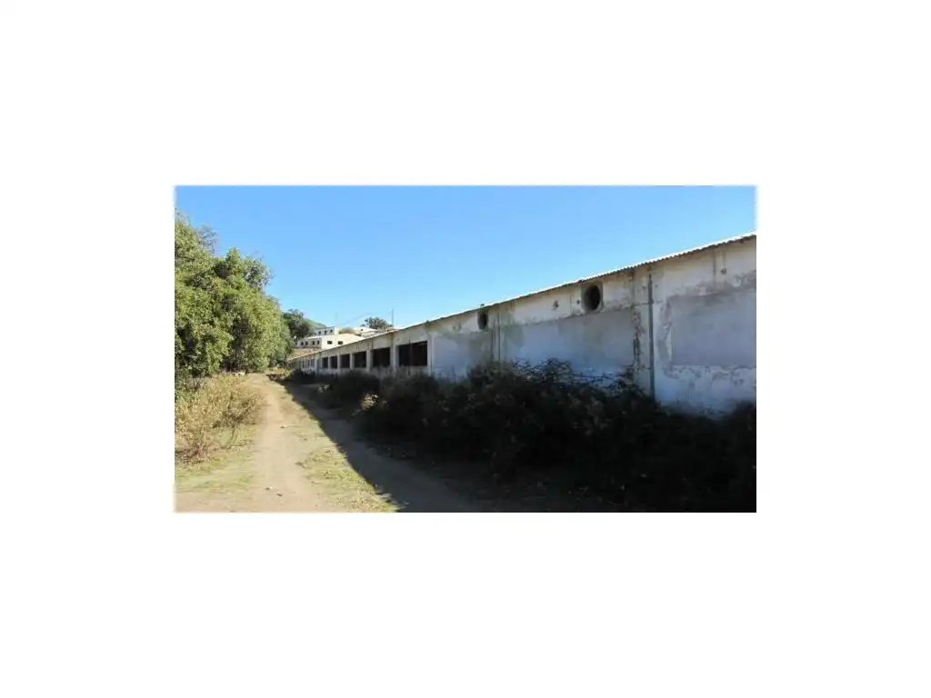 Exterior view of Houses for sale in Alpandeire