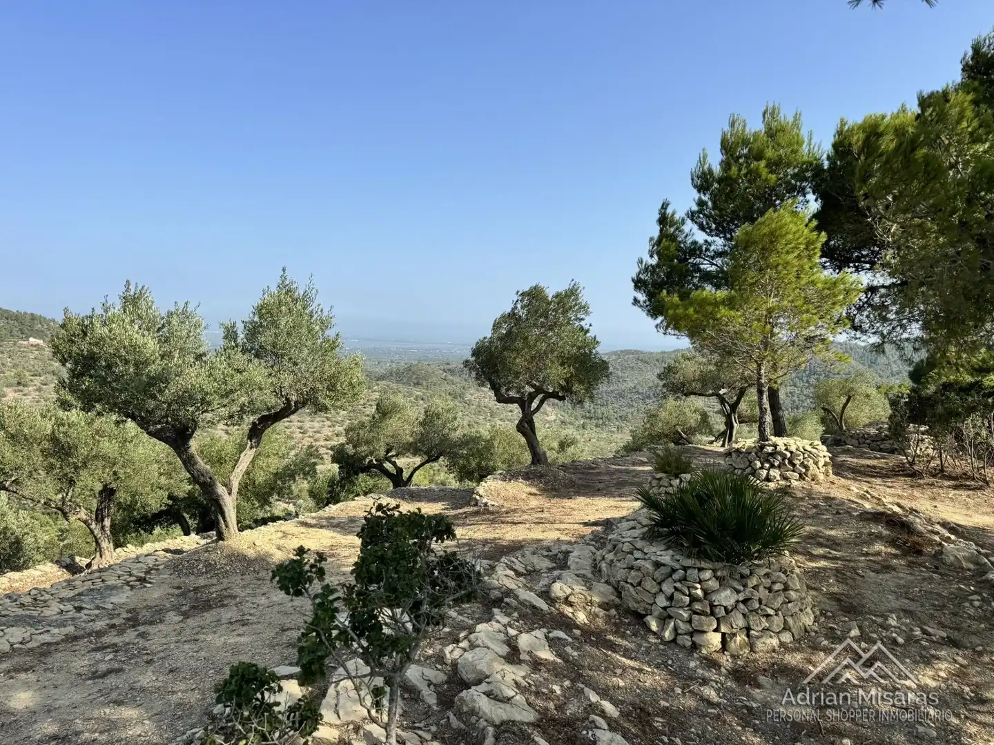 Terreno en venta en Tortosa