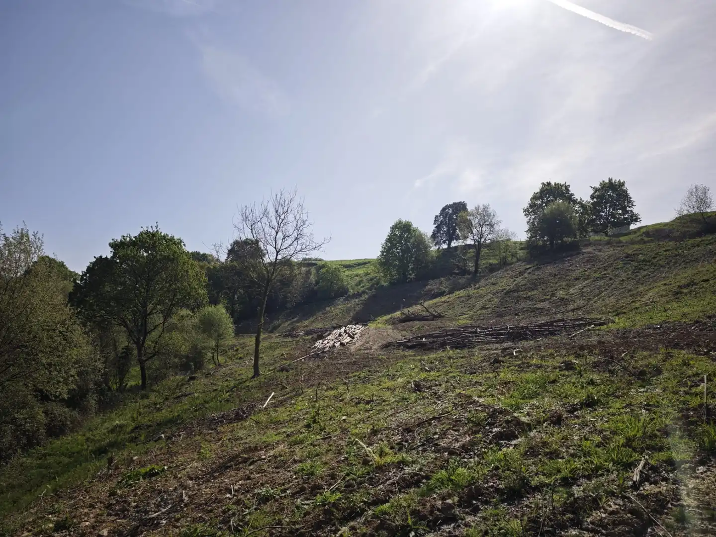 Terreni e lotti in vendita a Oruña, imagen 3