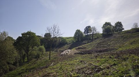 Photo 3 of Land for sale in Oruña, Piélagos