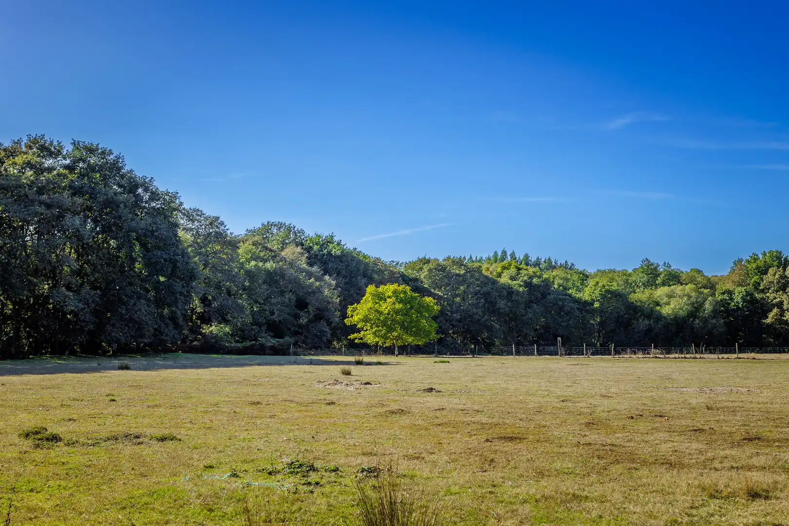 Finca rústica en venta en Outeiro de Rei