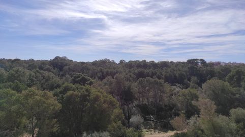Foto 4 de Residencial en venda a N/a, -1, Les Maravelles, Palma de Mallorca
