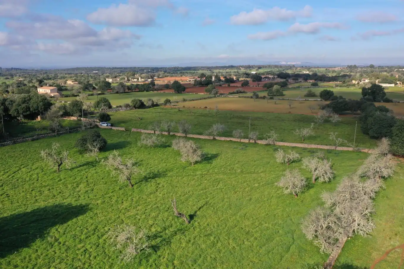 Rural land for sale in Cas Concos - Santanyí, imagen 2