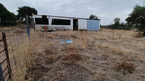 Foto 5 de Finca rústica en venta en Oeste, Mérida