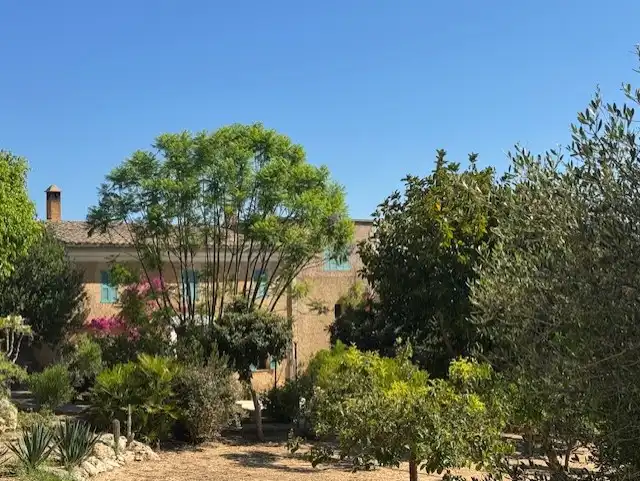 Garden of Country homes for sale in Manacor  with Air Conditioner, Private garden and Terrace