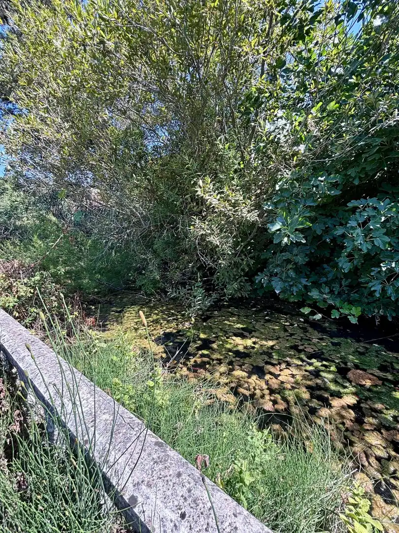 Grundstücke zum Verkauf in Arcos de la Frontera