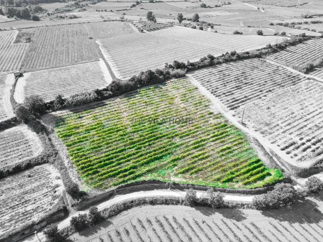 Terreno en Venta en L'Arboç