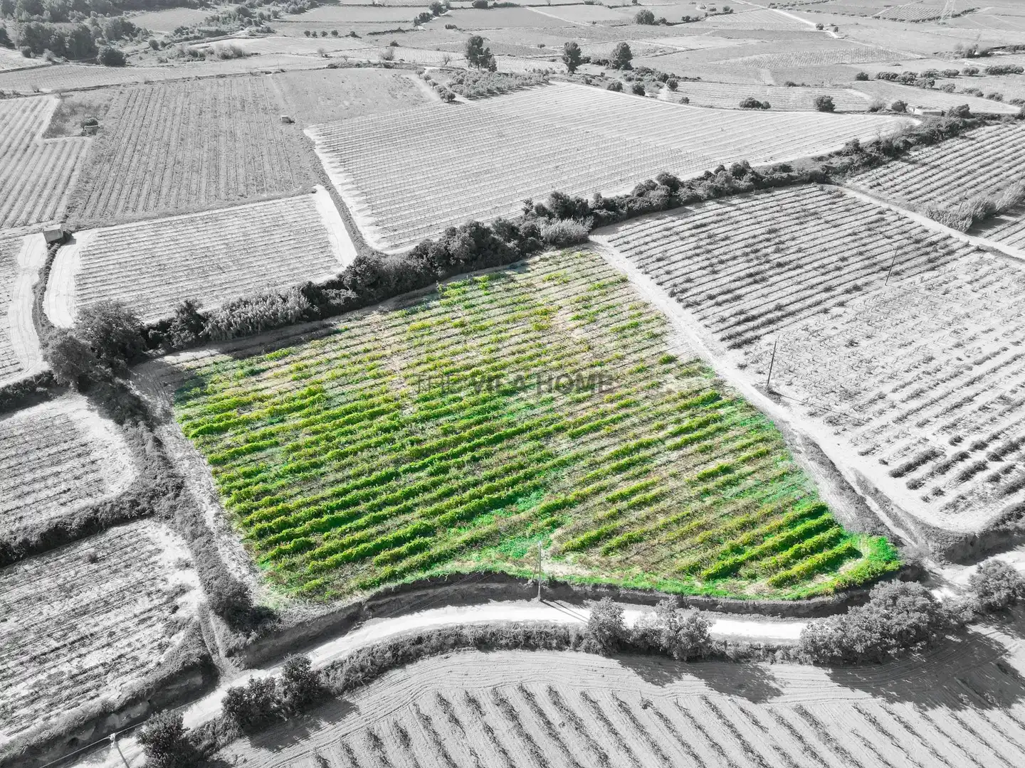 Terreno en venta en L'Arboç
