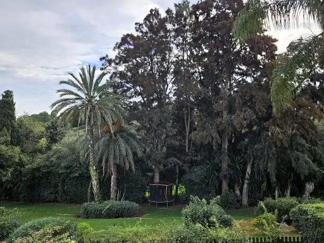 Garden of Detached homes for rent in Sotogrande  with Air Conditioner, Private garden and Terrace