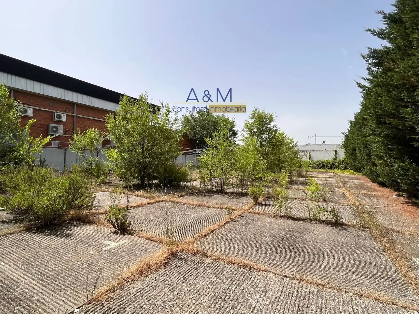 Terreno rústico en venta en Burgos