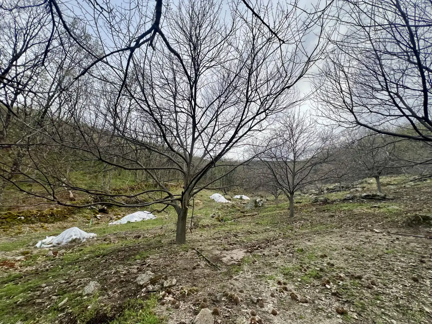 Grundstücke zum Verkauf in Garganta la Olla