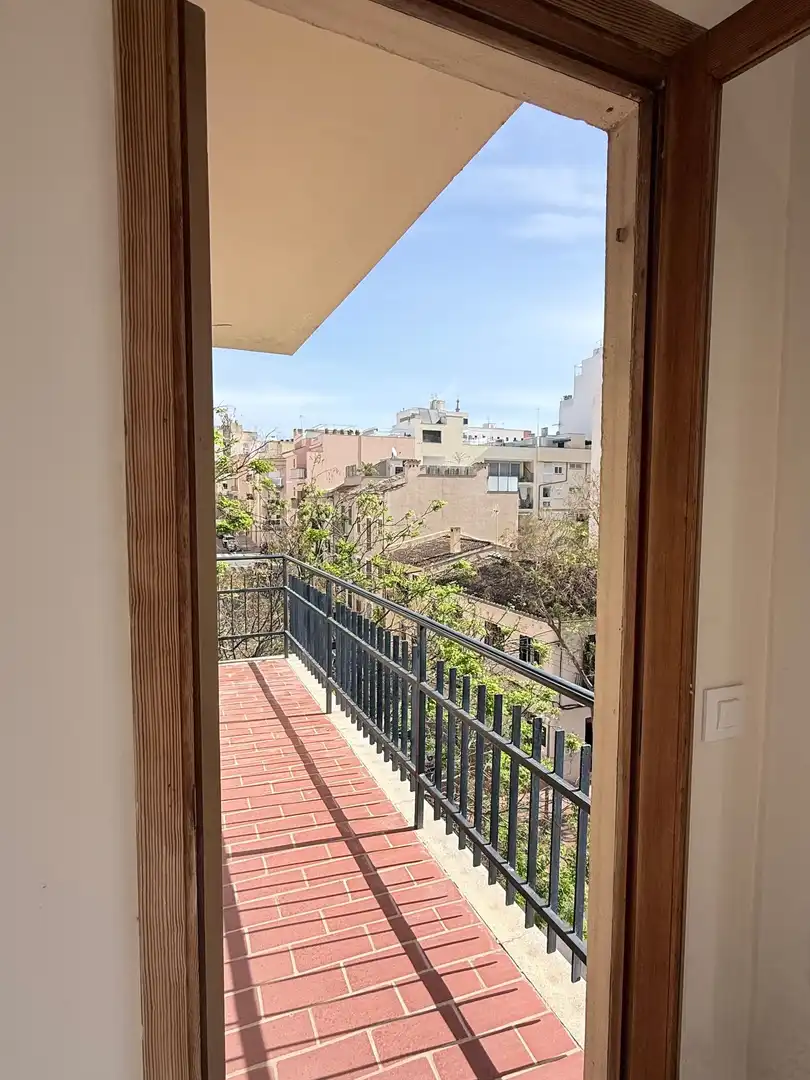 Apartments for rent in Santa Catalina