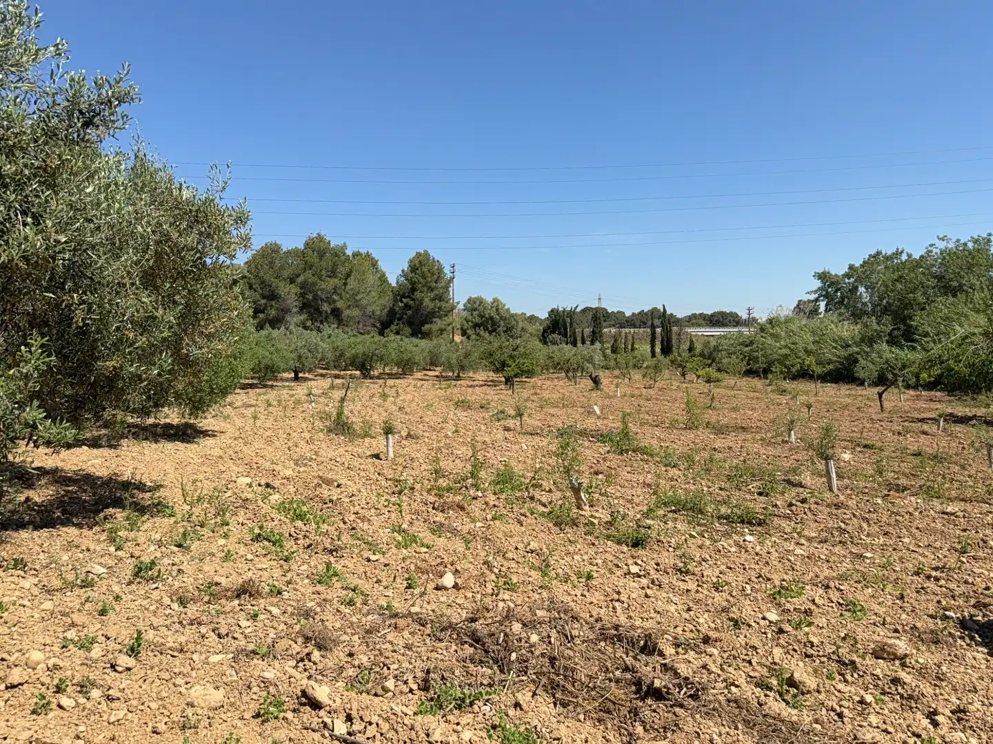 Rustikales Grundstück zum Verkauf in Camí del Cementiri 97, imagen 14