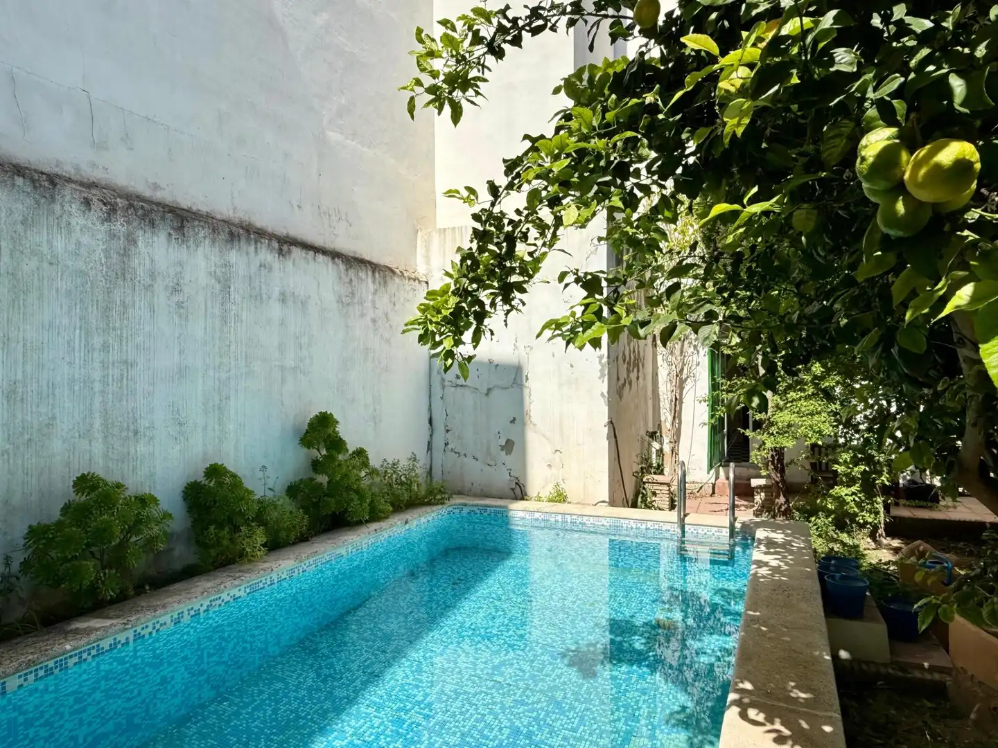 Piscina de Casa o xalet en venda en El Puerto de Santa María amb Traster i Piscina